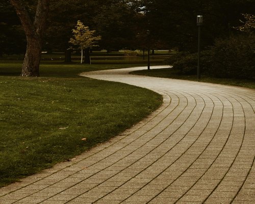A close up of comfortable walking shoes on a paved park path